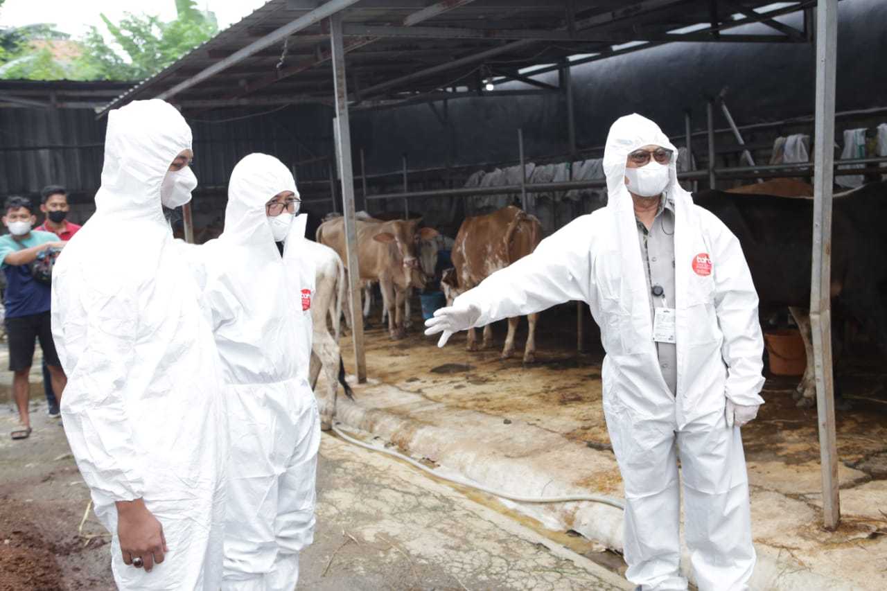 Pastikan Bebas Dari Pmk, Mentan Tinjau Peternakan Sapi Di Banten 13 Pastikan Bebas Dari Pmk, Mentan Tinjau Peternakan Sapi Di Banten