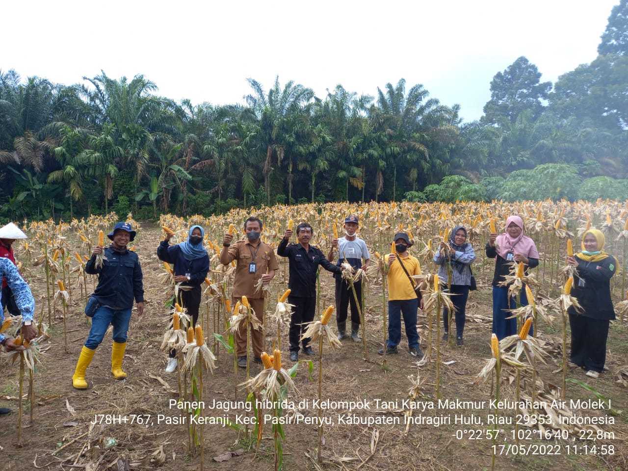Ayep Zaki Terus Bangun Ekosistem Pertanian Seluruh Indonesia
