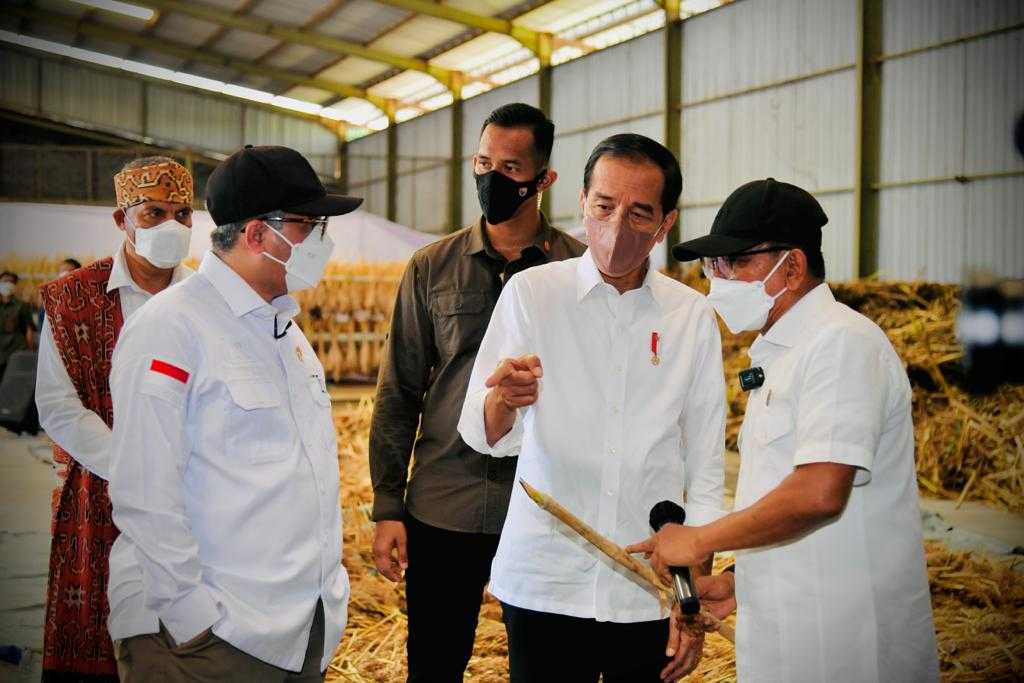 Antisipasi Krisis Pangan Global, Presiden: Sorgum Alternatif Bahan Pangan 15 Antisipasi Krisis Pangan Global, Presiden: Sorgum Alternatif Bahan Pangan