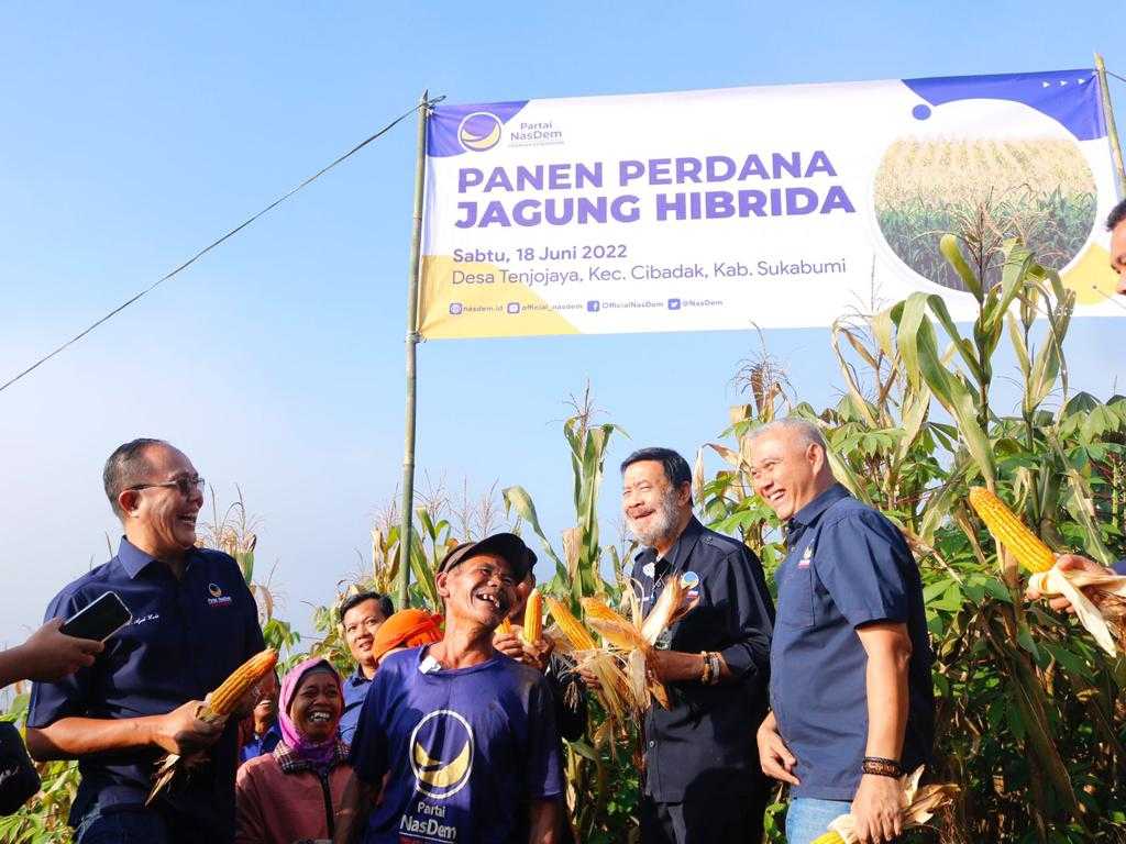 Buktikan Komitmen Di Sektor Pertanian, Ayep Zaki Gelar Panen Perdana Jagung Hibrida
