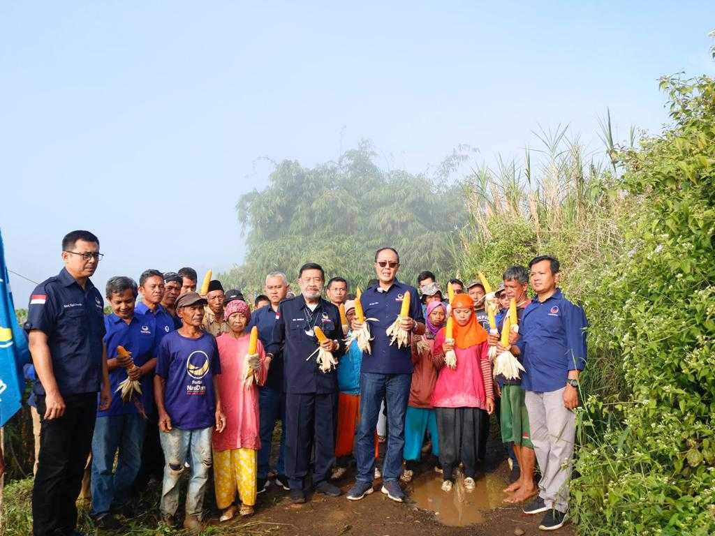Buktikan Komitmen Di Sektor Pertanian, Ayep Zaki Gelar Panen Perdana Jagung Hibrida