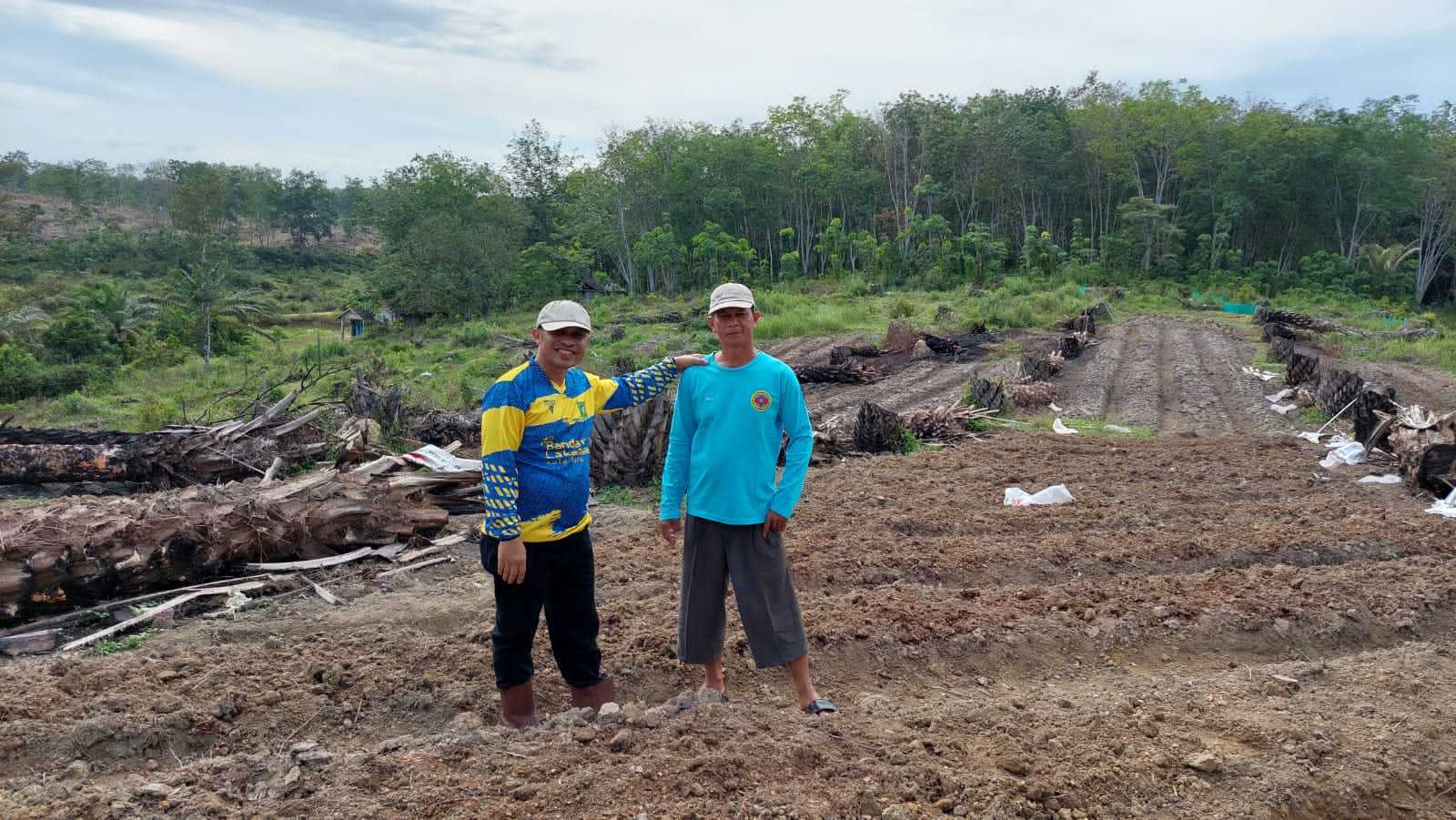 Kebun Sawit Produktif Milik Fkdb Di Tumbang, Diganti Dengan Kebun Buah