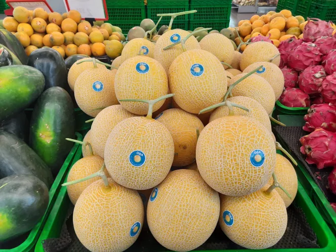 
Melon Premium Milik Doa Bangsa Agrobisnis Mengembangkan Pasar Supermarket Cek Selengkapnya