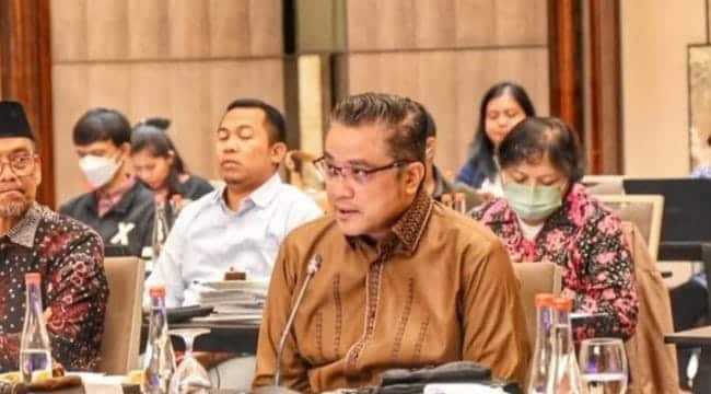 Keterangan foto : WAKIL Ketua Komisi II DPR RI Dede Yusuf, Sabtu (1/1/2024)