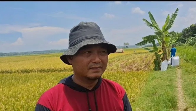 
Keterangan foto : Petani dari Lebak dan Pandeglang, Banten bersyukur pemerintah melalui Perusahaan Umum (Perum) BULOG membeli gabah mereka dengan harga Rp6.500 per kilogram, Jumat (28/2/2025)