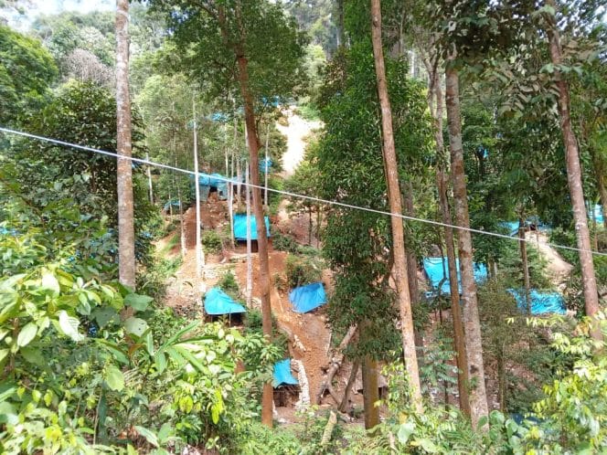 
Keterangan Foto : Diduga Lokasi tambang emas ilegal Desa Tangga Bosi Bukit Siayo, Kabupaten Mandailing Natal Sumatra Utara pada tahun 2022, 15 Maret 2025.