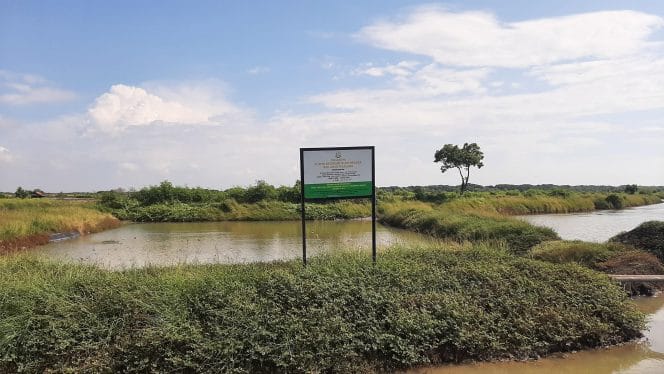 
Foto Benny Tjokrosaputro 27 Mei 2025.