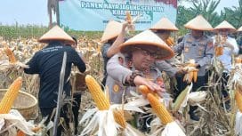 Foto (Dok Istimewa-Red)