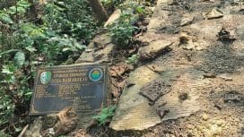 Keterangan foto : Proyek jalan rabat beton yang dibiayai Dana Desa (DD) 2023 di Desa Bajrasokah, Sampang, Minggu (12/10/2025)