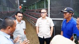 Foto: Anggota DPR RI Komisi IV Fraksi NasDem, Arif Rahman.