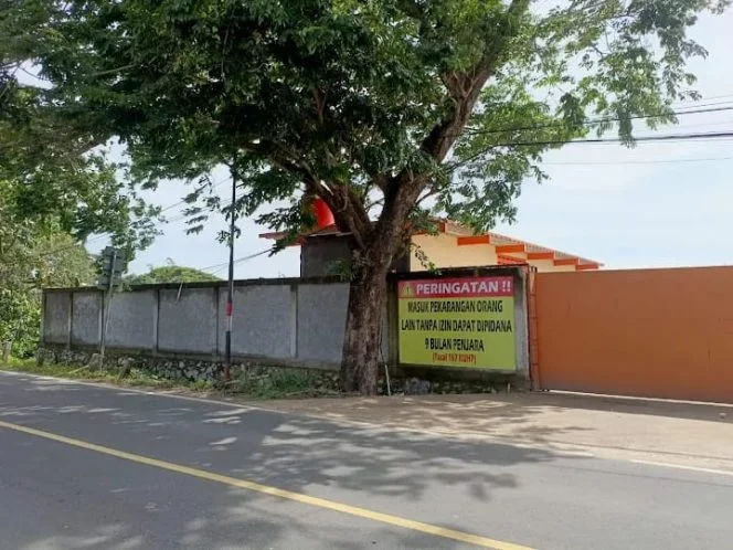 
Aktivis Soroti Borneo Kayu Indonesia, Pertanyakan Legalitas Kayu dan Pengelolaan Limbah