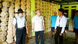 Arif Rahman Tinjau Produksi Emping di Jiput–Menes, Minta Pemerintah Perkuat Hilirisasi dan Penyediaan Bibit Melinjo Unggul