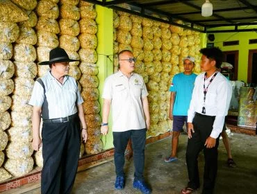 Arif Rahman Tinjau Produksi Emping di Jiput–Menes, Minta Pemerintah Perkuat Hilirisasi dan Penyediaan Bibit Melinjo Unggul